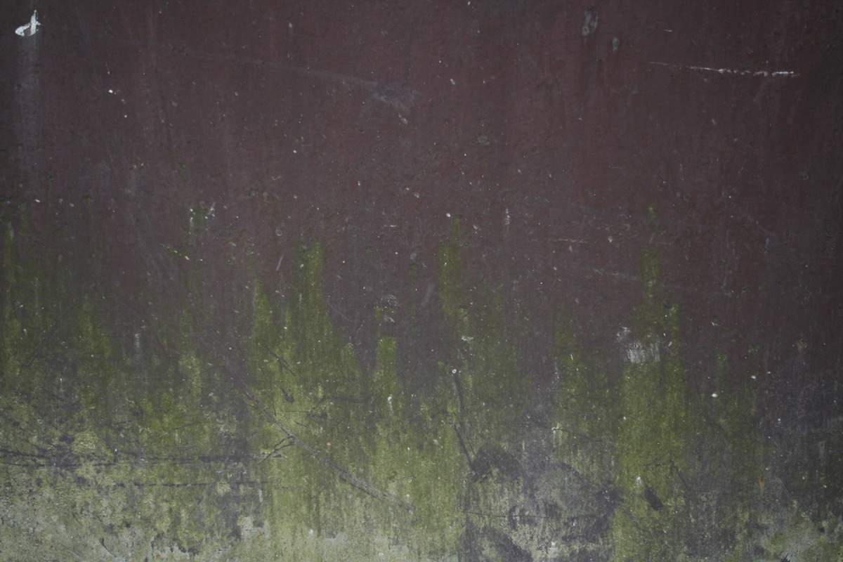 设计师福利模板,设计师必备100件用品