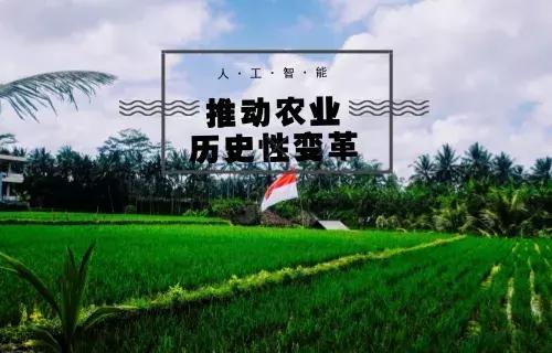农业是创业的风口？“农业投资热”到底有没有真正到来？