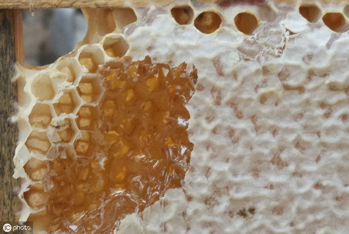 养蜂蜂蜜为什么卖的比别人的贵,养蜂人30一斤的蜂蜜有掺假的吗