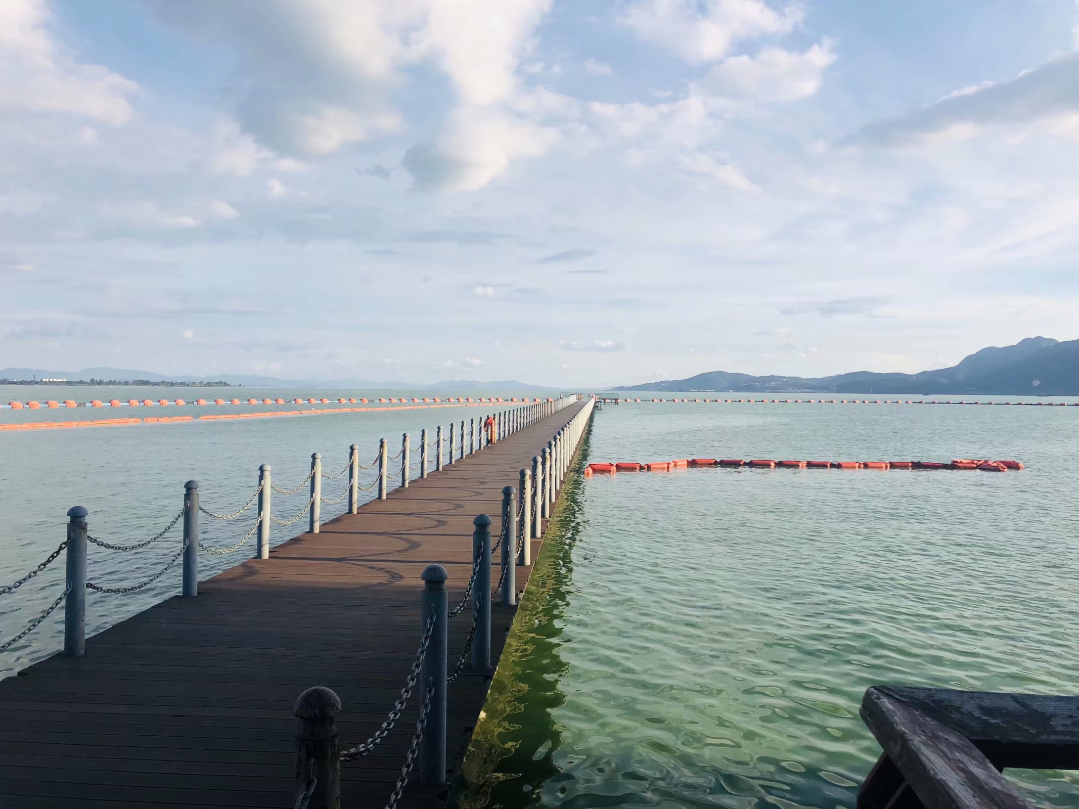 我眼中的昆明,昆明春之城