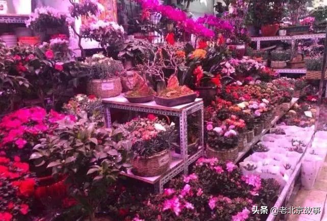 官园拆迁安置房,官园拆迁安置房拿房时间