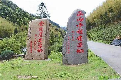 红茶品种大全及图解,红茶种类大全十大名茶