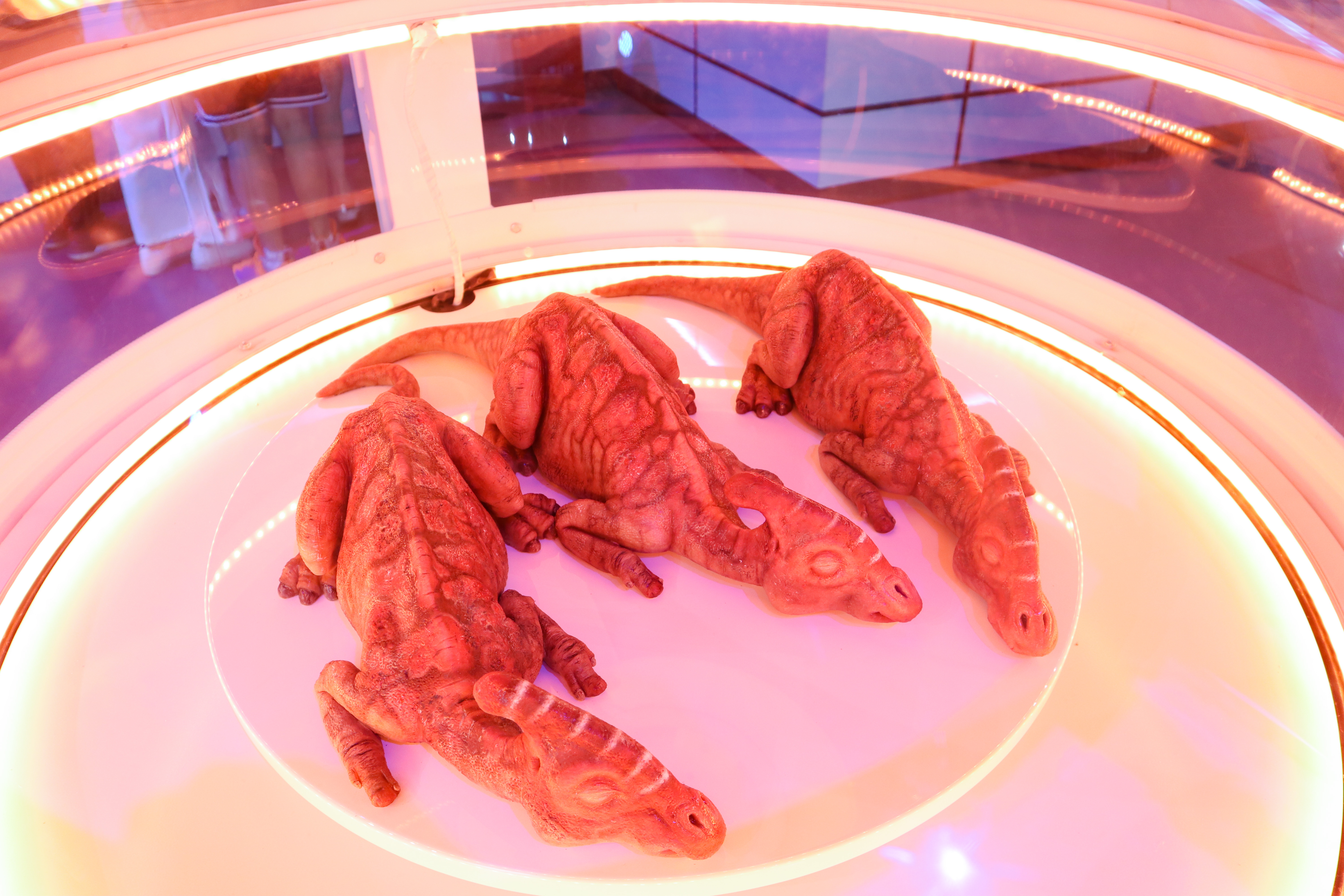 来到侏罗纪公园遇到超真实的恐龙,侏罗纪公园恐龙大探秘