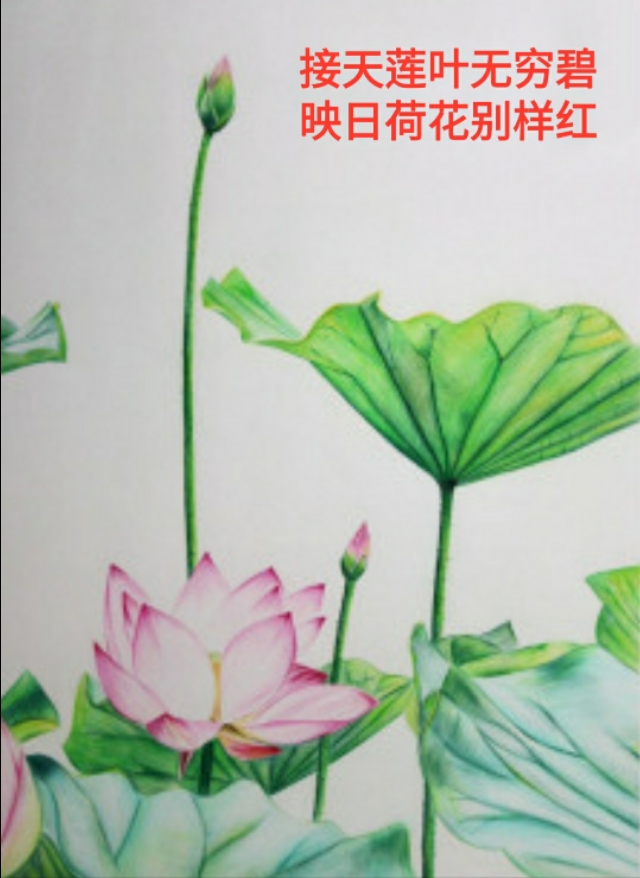 涓浗鍗佸ぇ绾㈣壊缁忓吀璇楄瘝,鍗佸ぇ绾㈣壊缁忓吀璇楄瘝