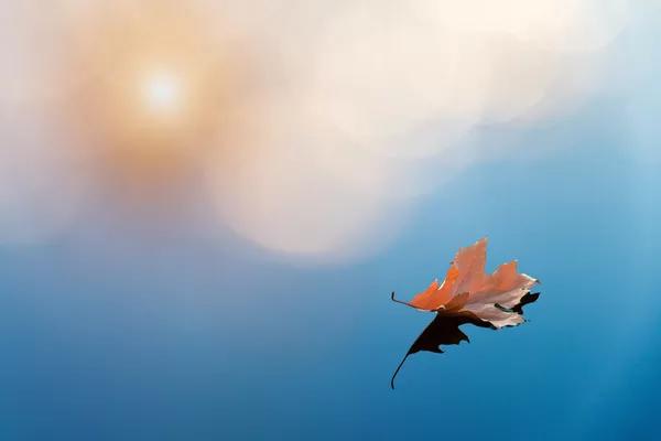 玩彩技巧分享,玩彩神技巧