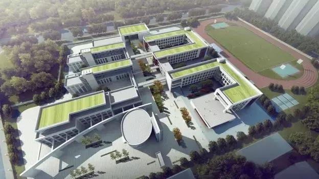 双流上私立小学要什么条件,成都公立小学怎么选