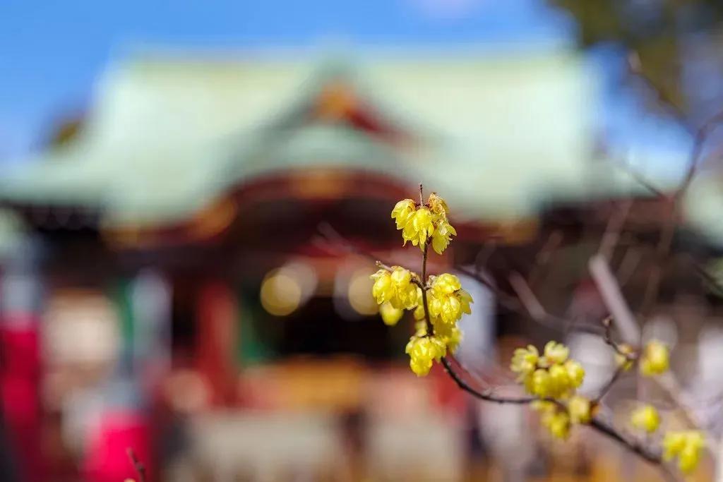 每周摄影作品展的第102期佳作欣赏,每周摄影作品展官网