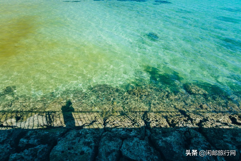 世界梦号邮轮哪里找的,世界梦号邮轮攻略日本