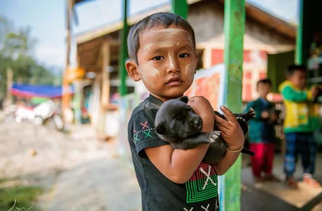 2019年，缅甸蟒蛇舍命报恩，冷血动物也有温情一面