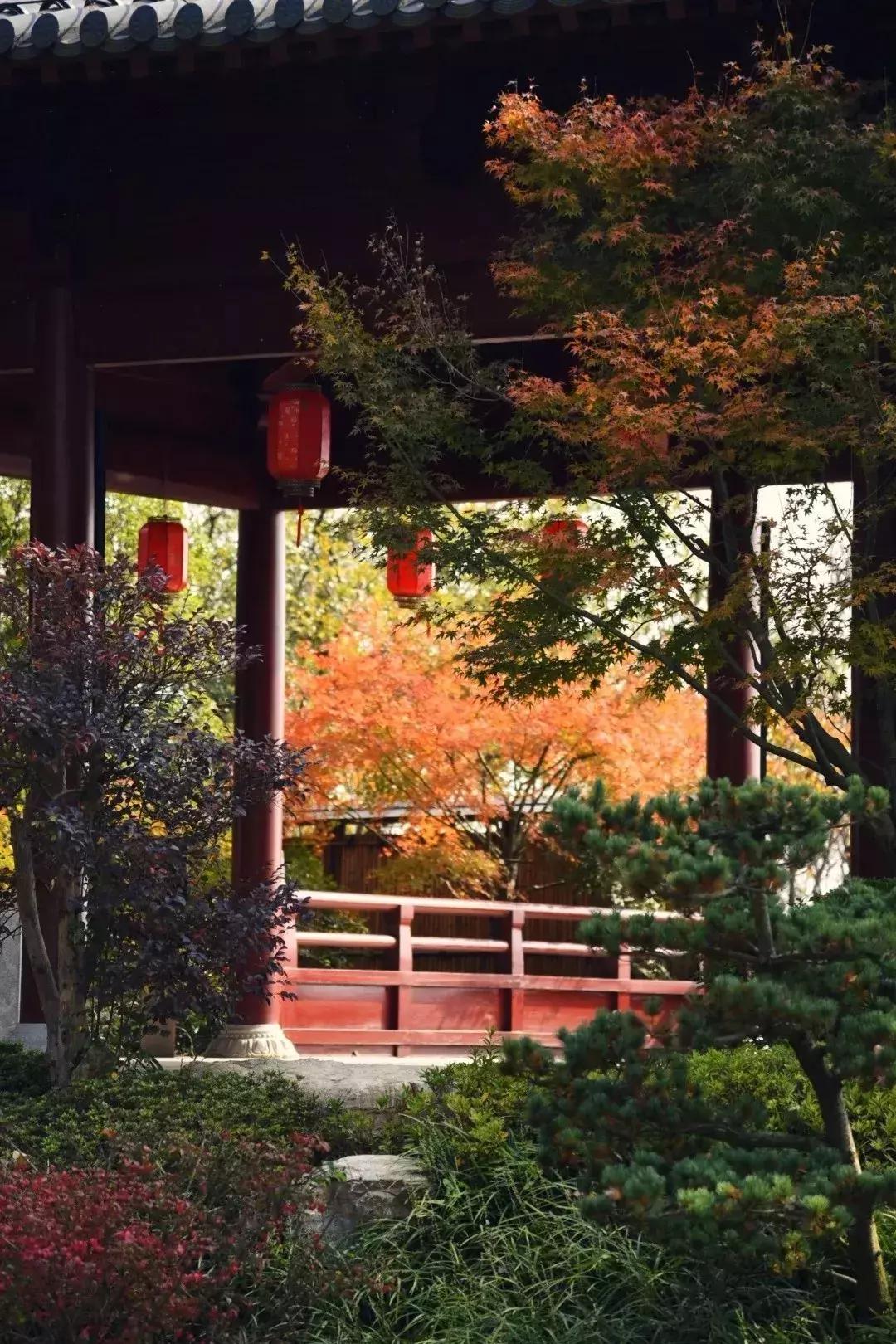 佛了！魔都周边9座「禁欲系寺院」，美到想出家！