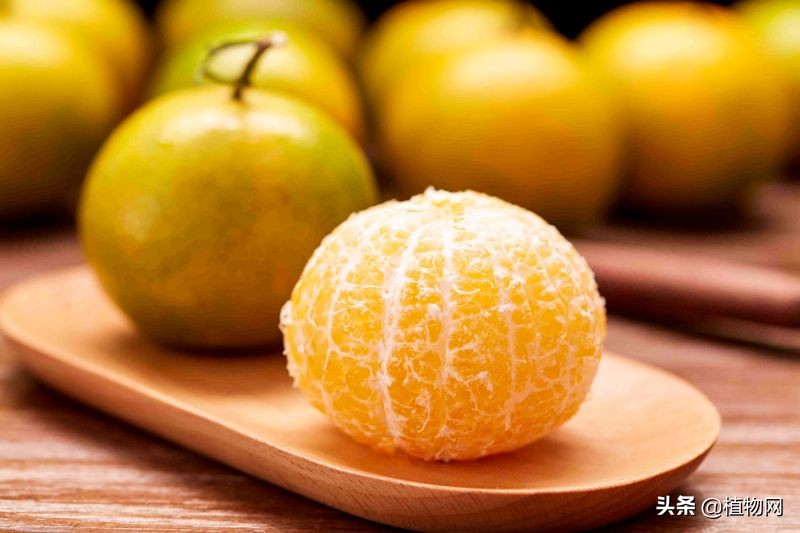 柑橘去酸最好的方法,柑橘成熟后是酸的怎么变甜