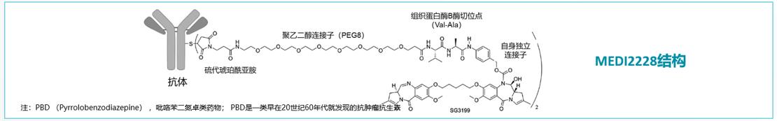多发性骨髓瘤新的治疗手段有哪些？（上）
