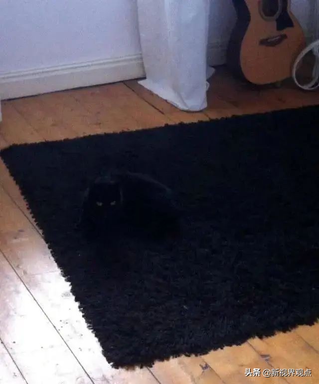 神奇的视觉错位图30张,神奇的错位照片