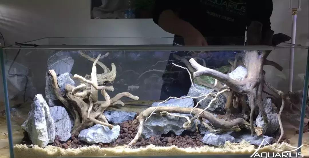 草缸造景教程：这个缸居然能装下一头“犀牛”？