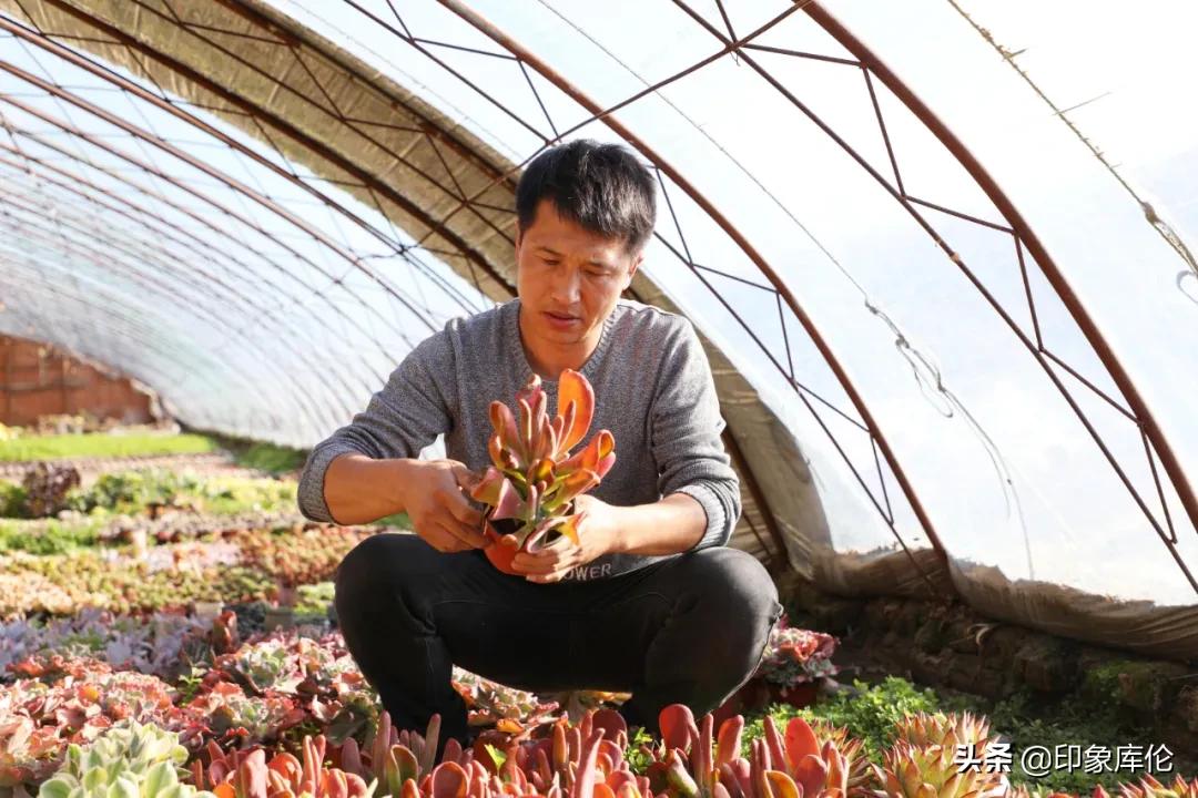 80后创业致富小伙,80后农村小伙创业历程