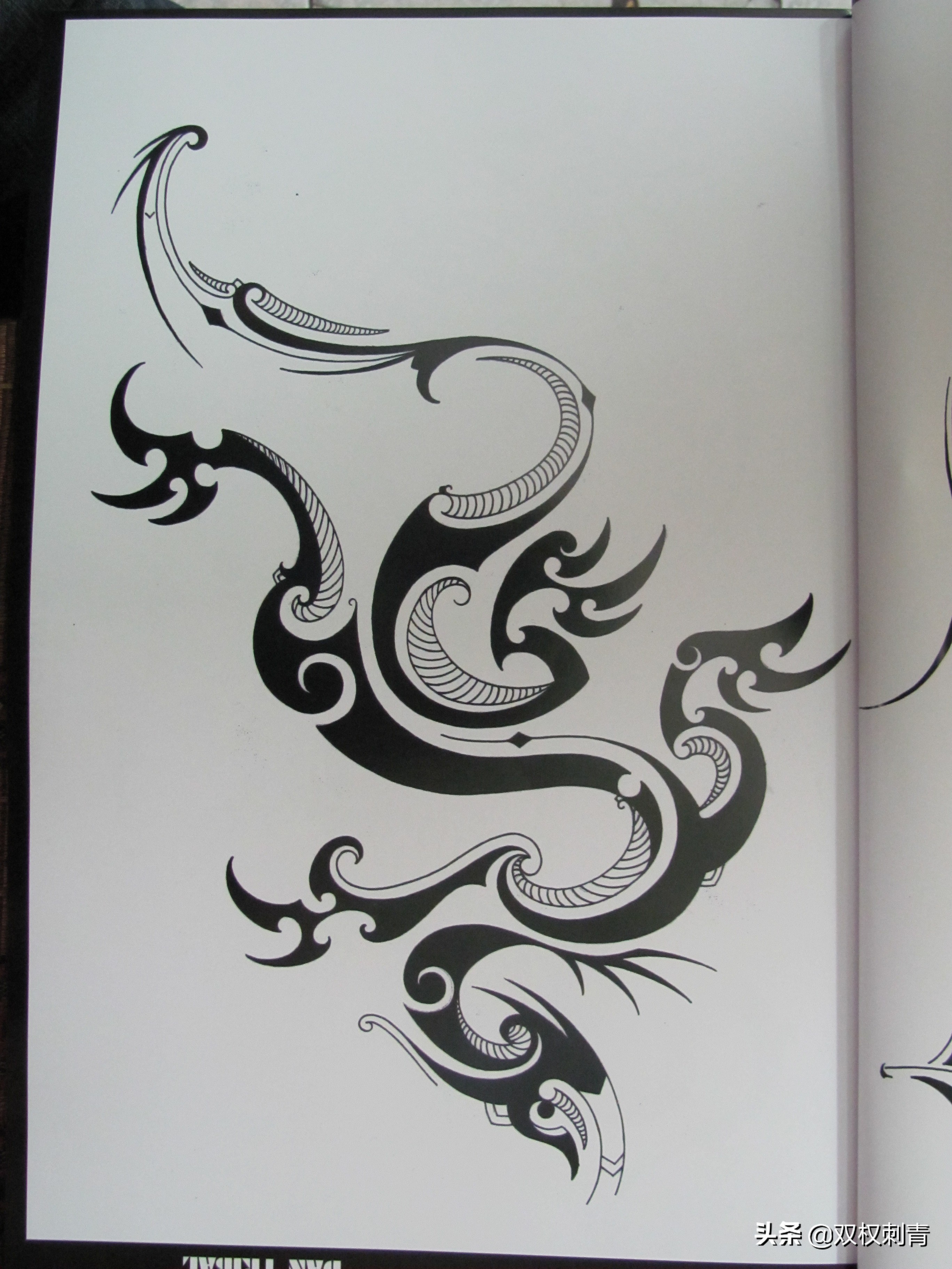 凤凰图腾图,张氏图腾图