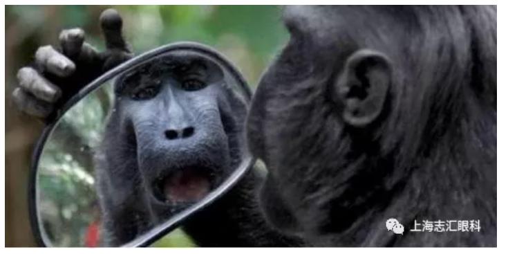 照镜子特别丑照相更丑,照镜子觉得自己好丑