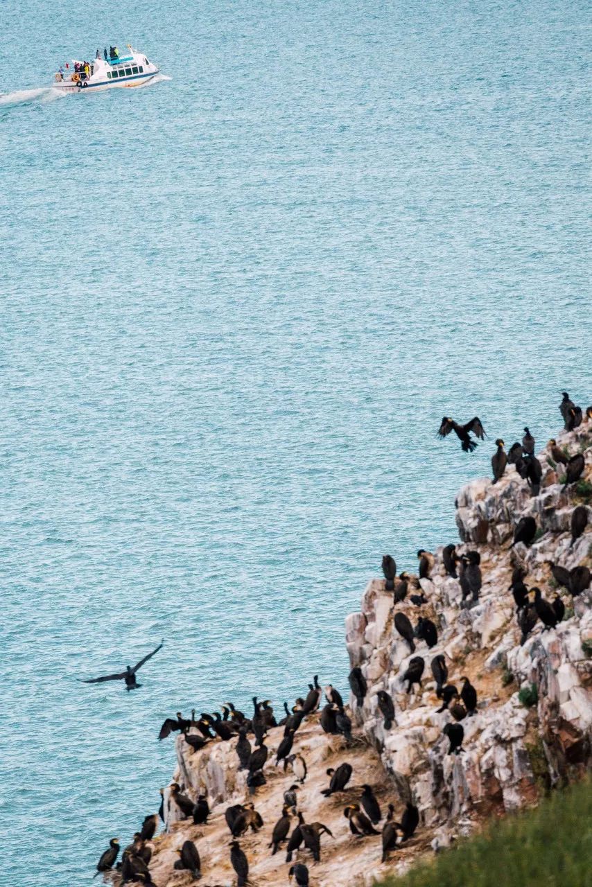 七月的青海湖美翻了,带你了解七月的青海