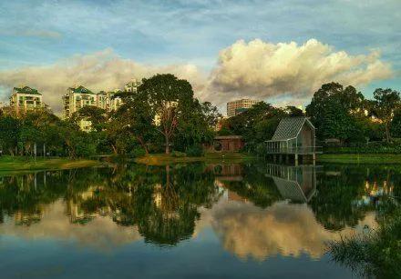 你为什么留在深圳奋斗,留在深圳发展还是回老家发展呢