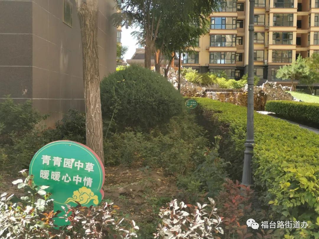 街道提升创城浓厚宣传氛围,街道全面发力高标准推进创城