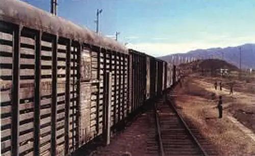 三趟快车|不为人知的“赶车人”(二)