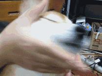 “用了你代购回来的化妆品，我一直拉不出shi！”笑出猪叫……