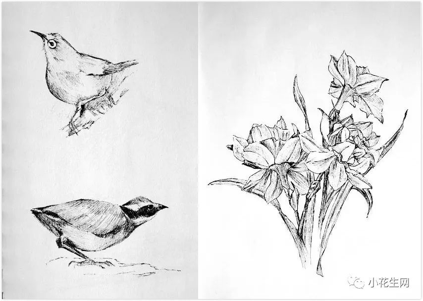 学画四年级上册美术,从零开始学绘画必备的画