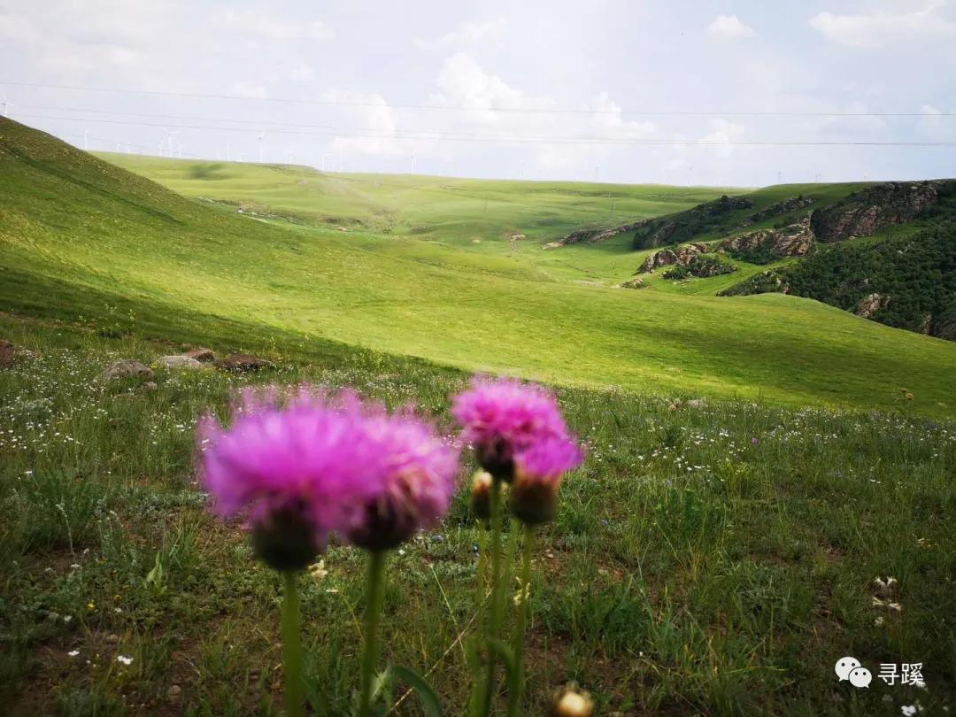 内蒙古大草原自驾游精品线路,辉腾锡勒草原黄花沟旅游攻略