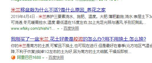 米兰花根部胶泥该不该去除,米兰花土里有虫子怎么办