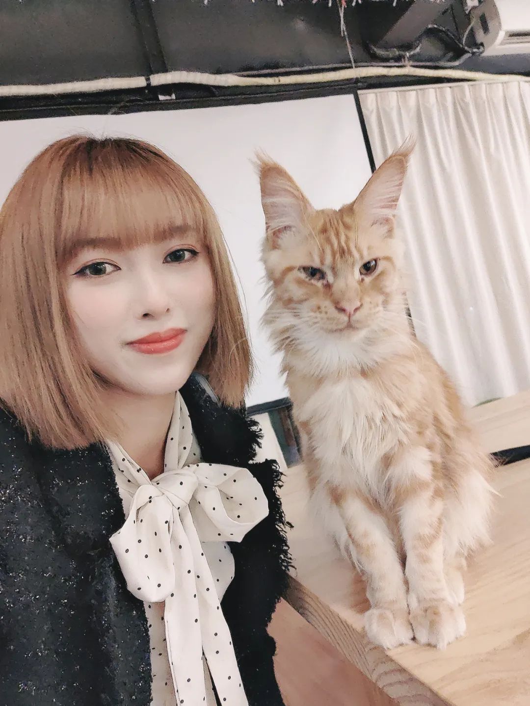 开宝马一系女车主,宝马女车主真实感受