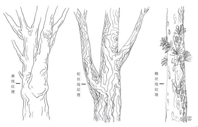 6-12岁儿童风景速写课程入门网课,风景速写临摹图片高清树和房子