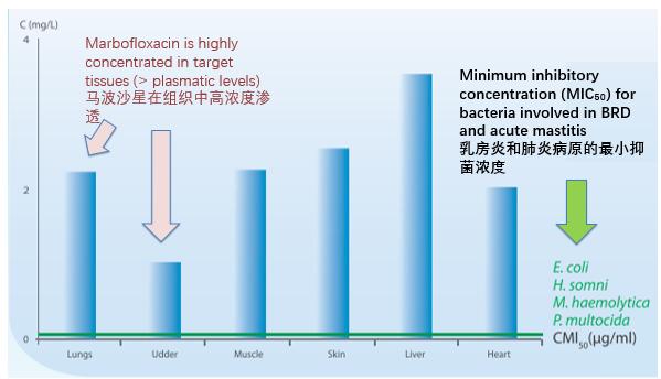 哪种抗生素能治疗乳房炎,乳房炎用什么中药最好