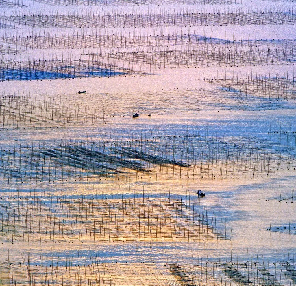 浠庡崡娴蜂箣婊ㄥ埌鍖楀浗闆師,浠庡崡鐤嗗埌鍖楃枂