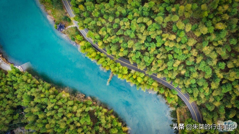 全国最大的竹海,中国竹都最美竹海