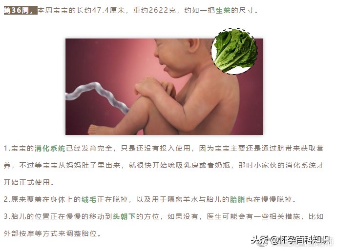 怀孕各个时期胎儿发育过程,怀孕的过程要几天