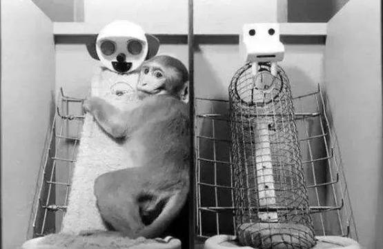 孩子送寄宿学校哭怎么办,孩子送去寄宿学校会后悔吗