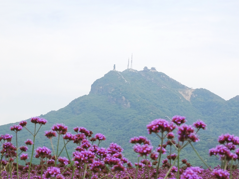 在祖国蔚蓝的天空下——专访河南老乐山风景区总经理杜文建