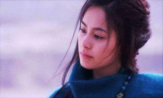 她是飞狐外传真正的主角，冰雪聪明，却因貌丑而得不到爱情