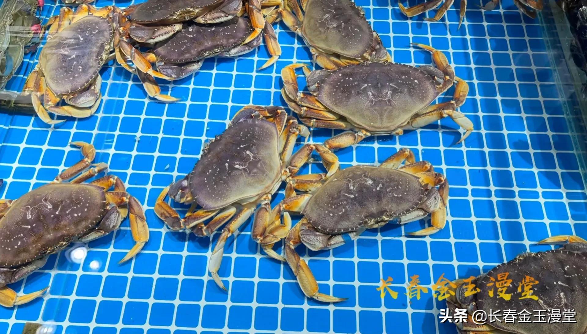 2022长春年货大集,2020长春年货展销会在哪