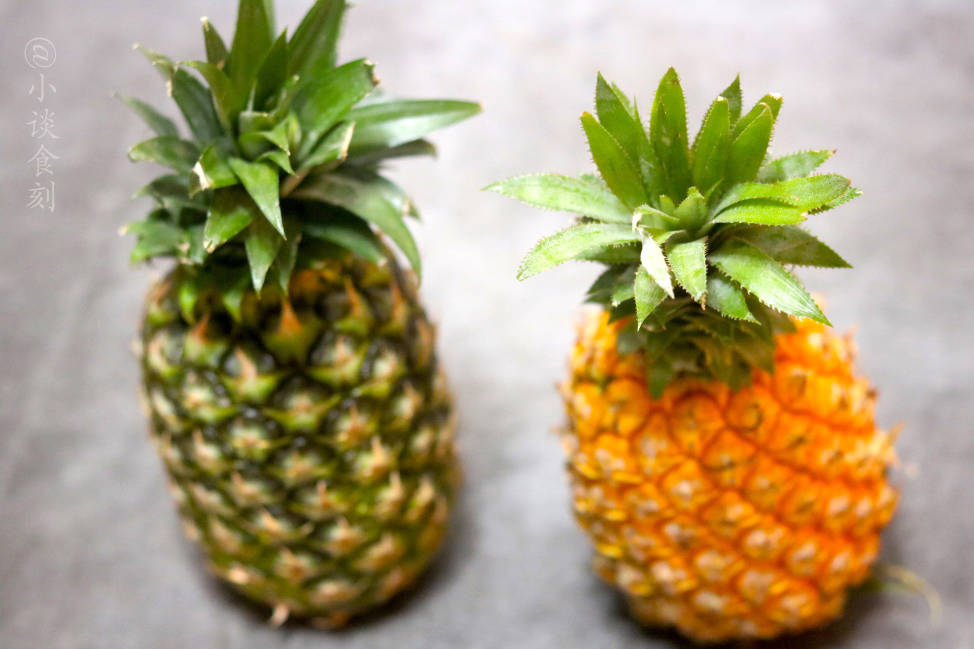 菠萝和凤梨是一样的么,菠萝和凤梨是一样的吗