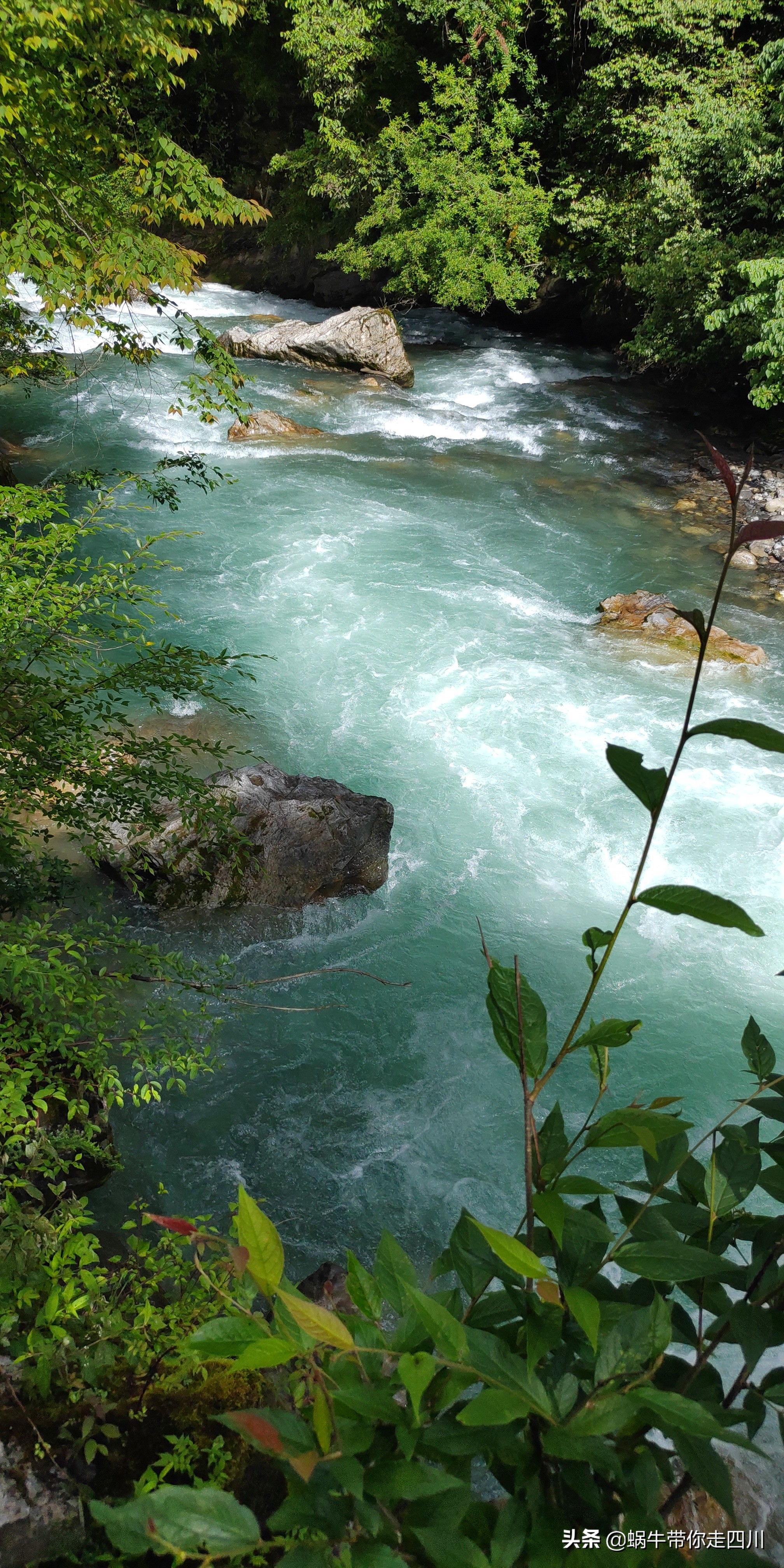 一家三口重庆到拉萨旅游攻略预算,一家三口成都去拉萨大概要多少钱