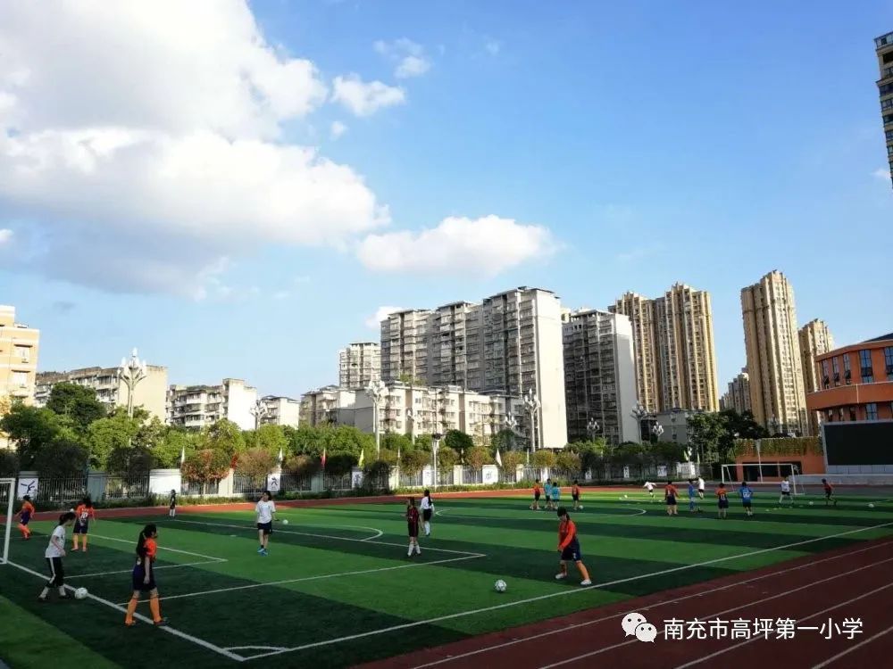 绿茵场上挥洒汗水享受足球的快乐,三亚足球小将在绿茵场上挥洒汗水