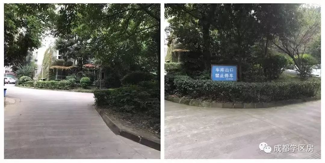 和泡小非常像的一个分校之最全盘点！​