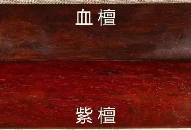 紫檀只戴11个珠子行不行,紫檀只有棕眼牛毛纹