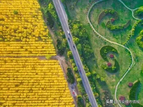 秦汉新城多久可以发展起来,未来5年秦汉新城刘家沟规划