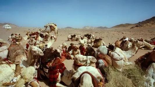 这么冷的冷知识你知道多少,关于历史的冷知识你知道几个