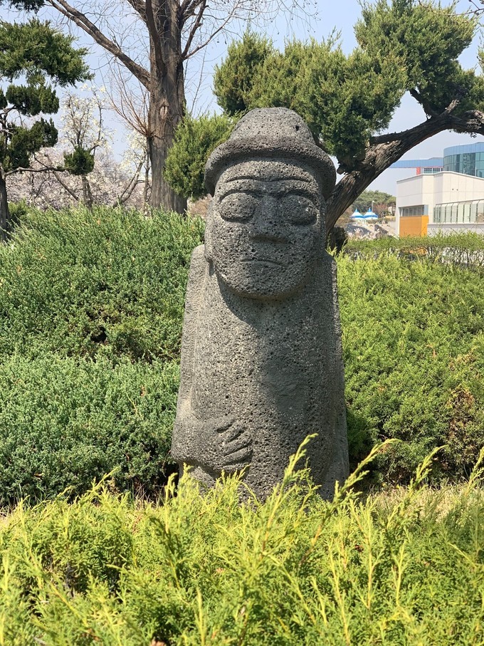 樱花韩国歌曲,樱花味的日语