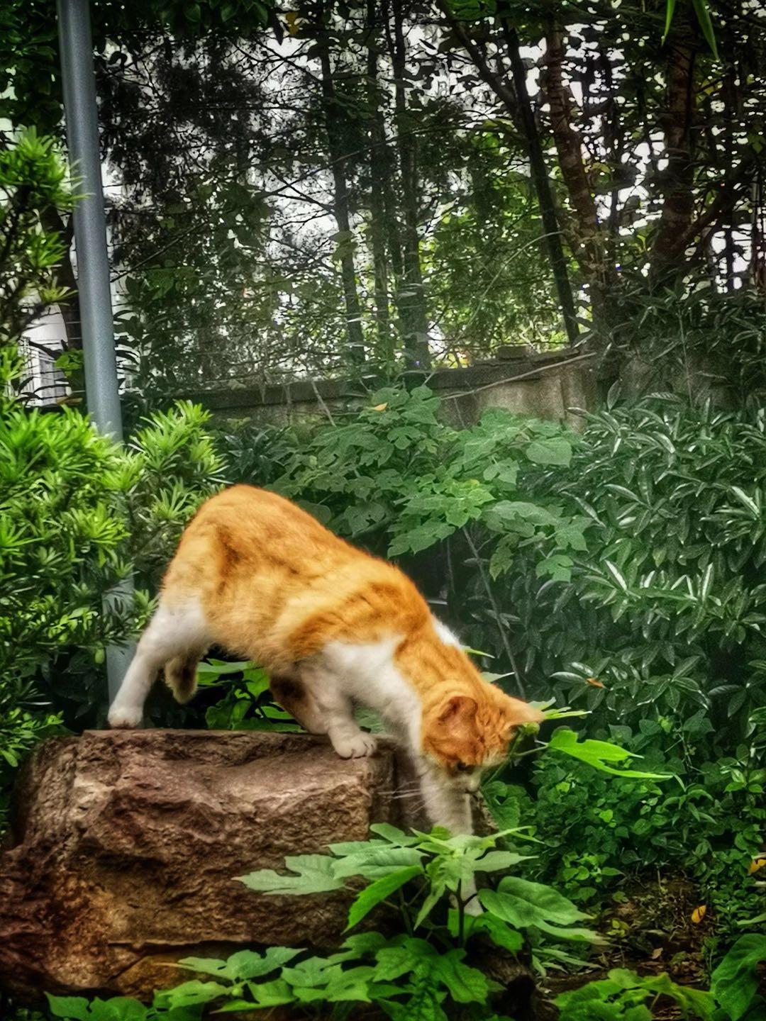 一句话让别人觉得你过得很好,让别人觉得你的好才是春风