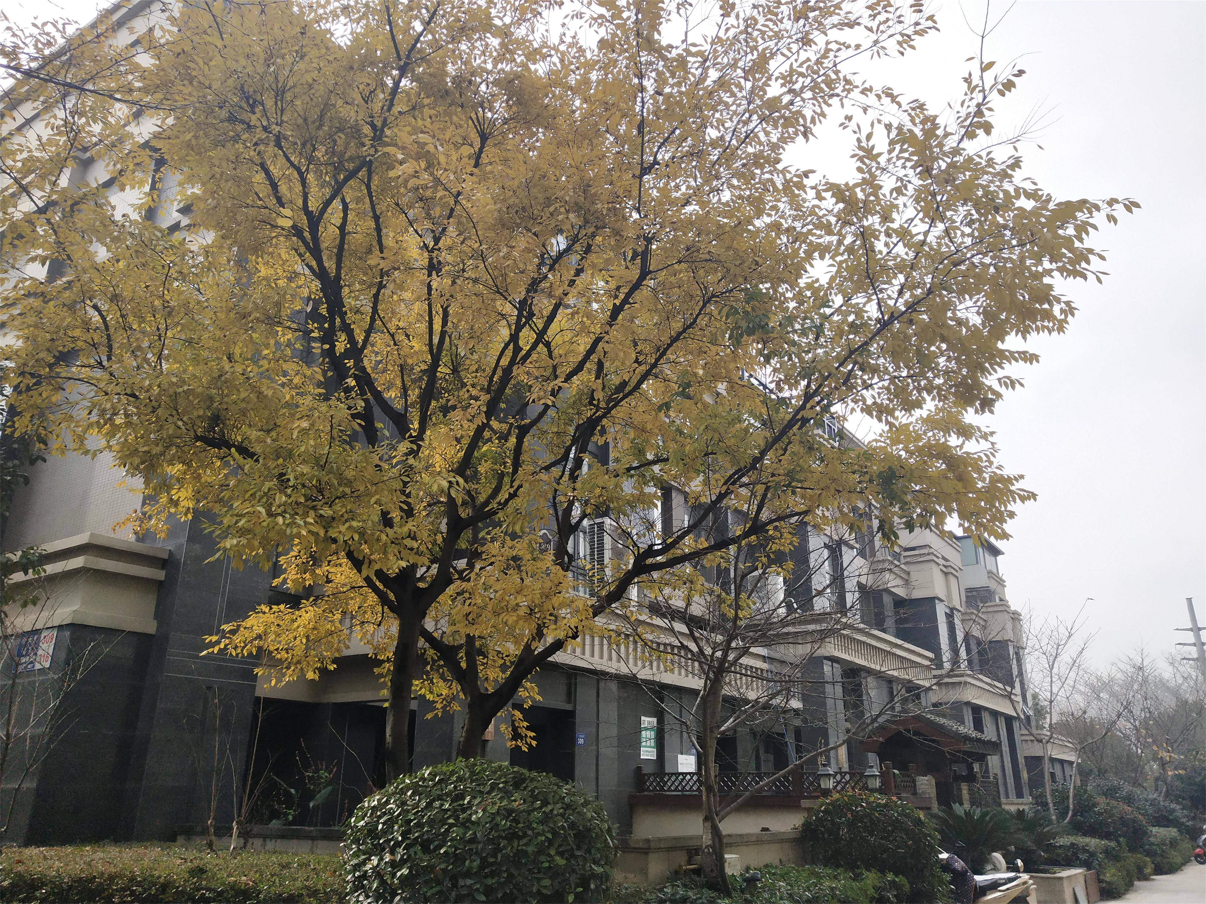 小区周边配套设施齐全楼价,商业交通配套