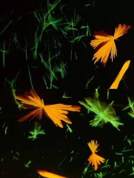 终局之战!!“光影化境”悦昌行杯摄影大赛复赛等你投票~